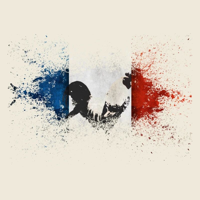 French Flag