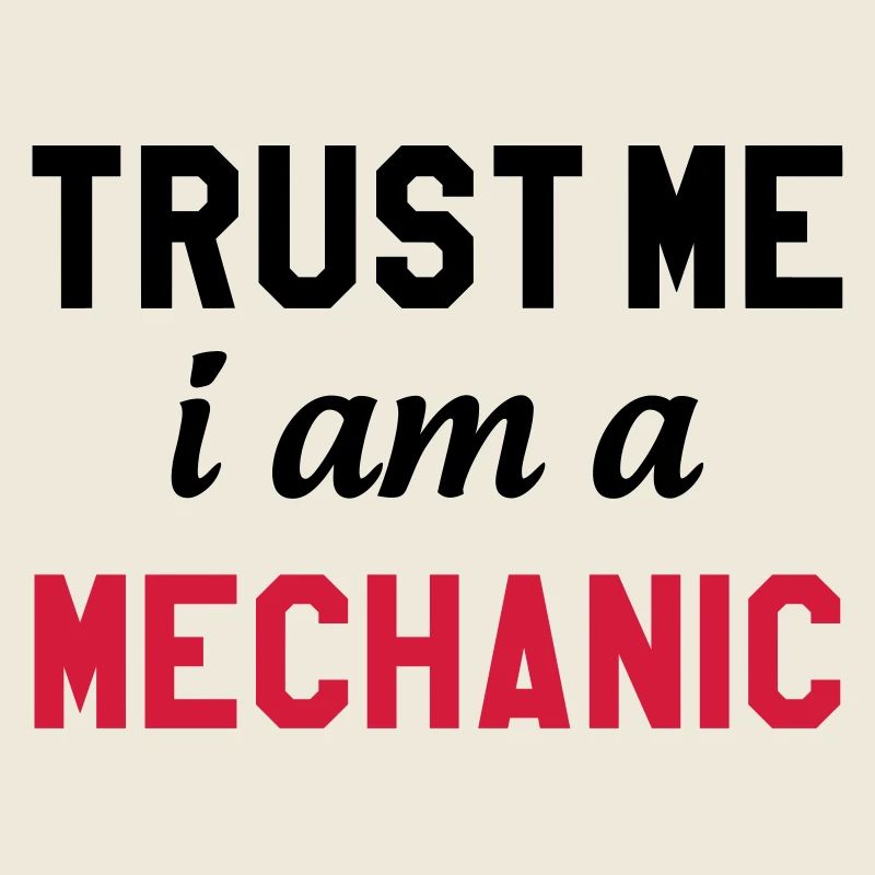 Trust me I am a Mechanic
