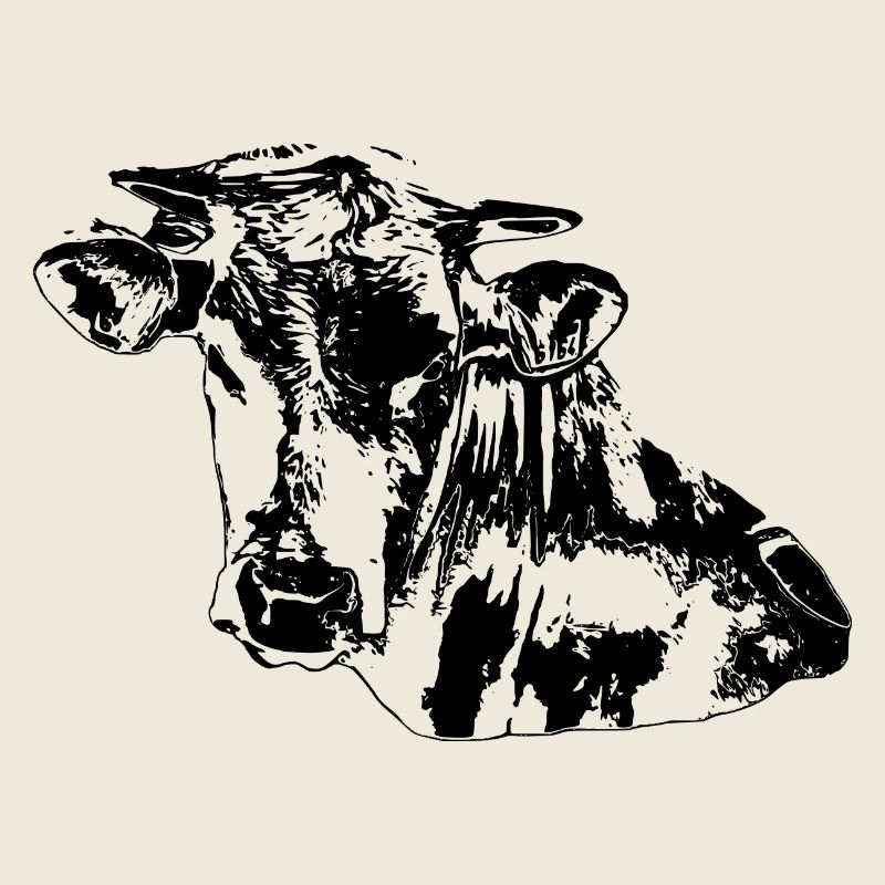 Vache noire