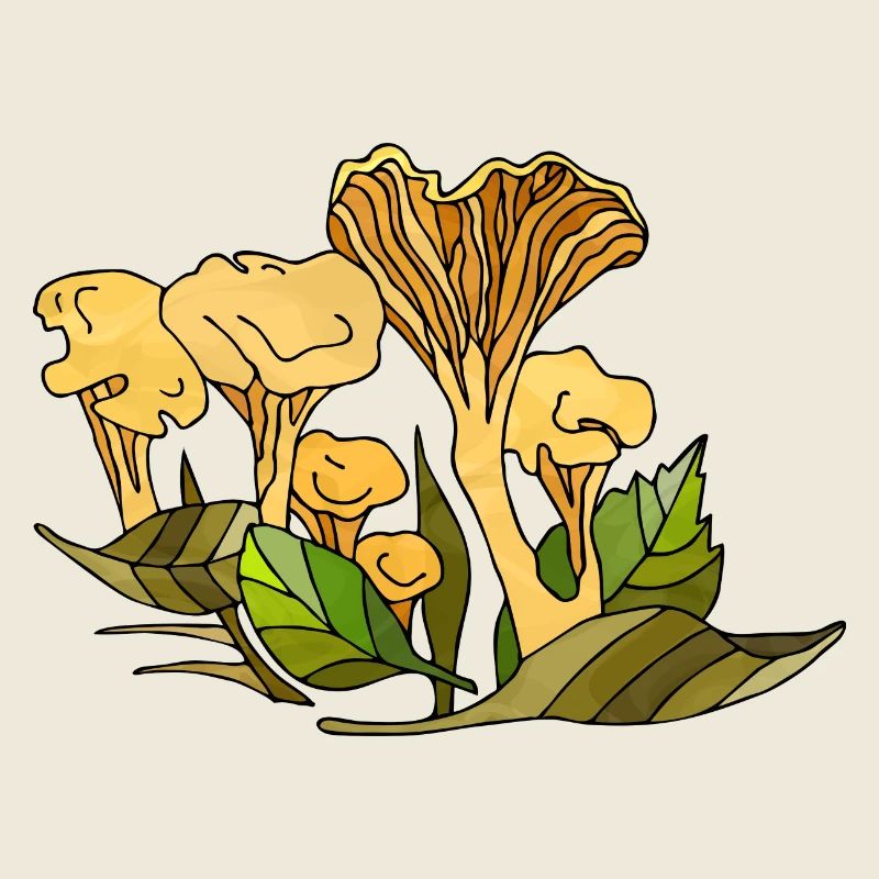 Mycètes