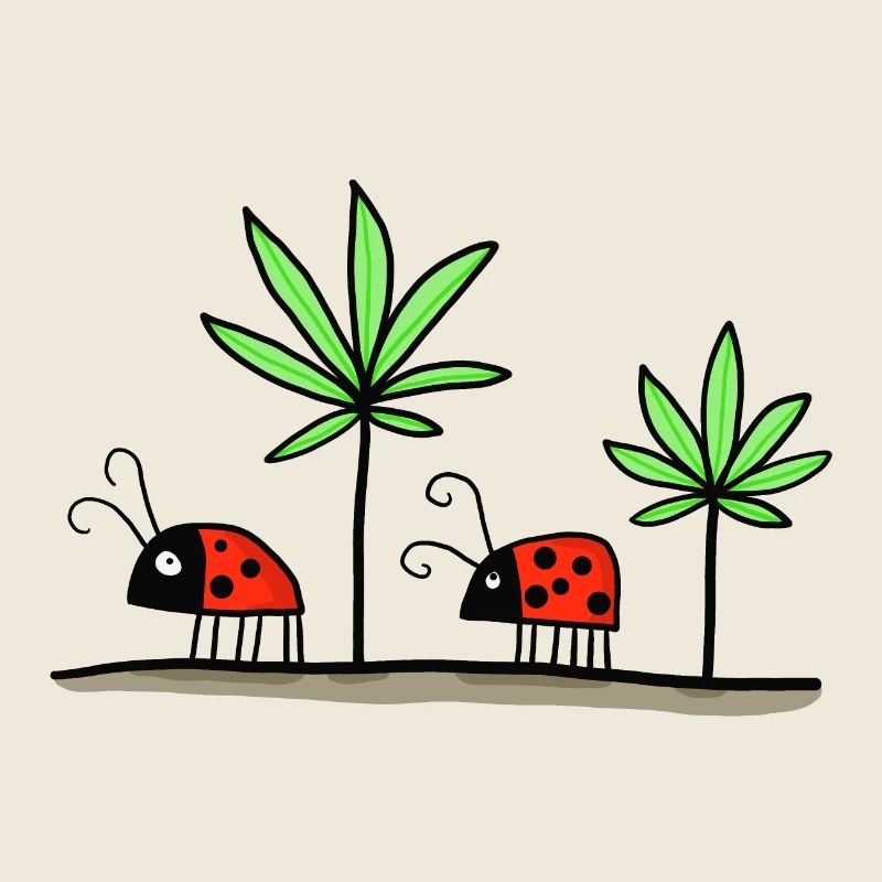 Glückskäfer - Glückskiffer