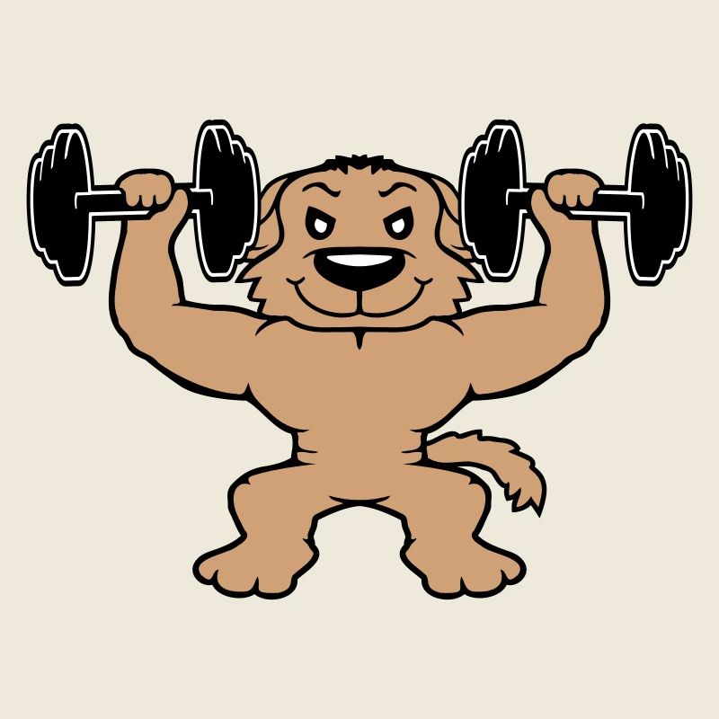 Hund Bodybuilder Stark Muskeln Gym Gewichtheben