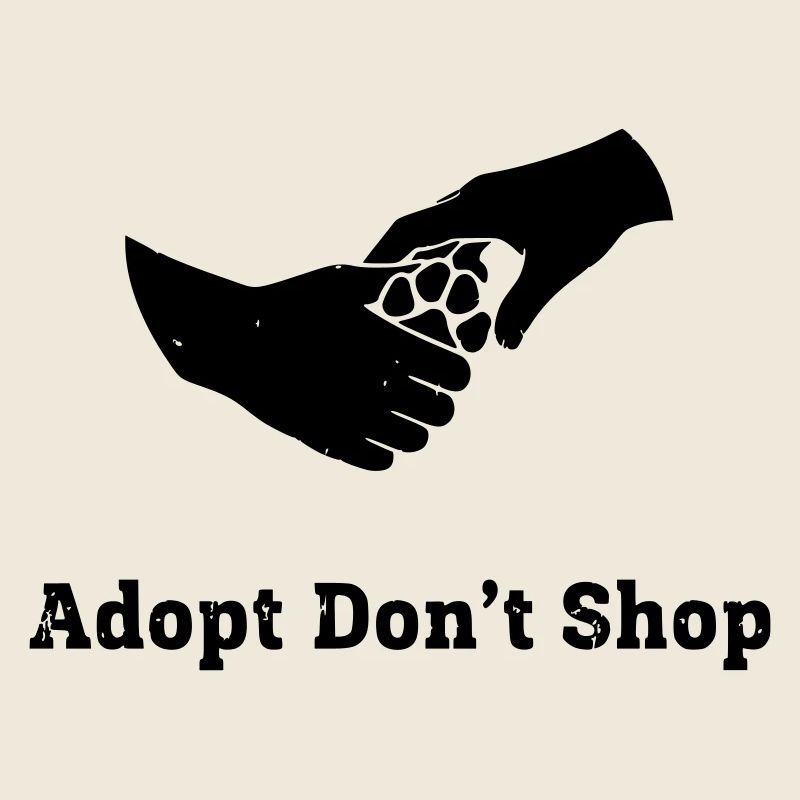 Adopt Dont Shop Pfote Faust Check