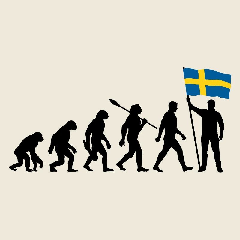 Sweden - Evolution - Flag - Nation