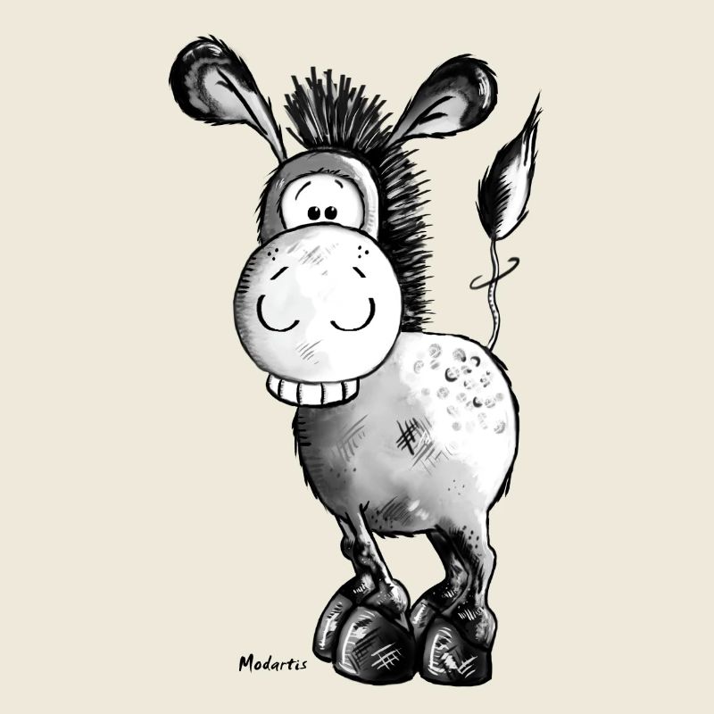 Drôle d'âne - Cheval - Animaux