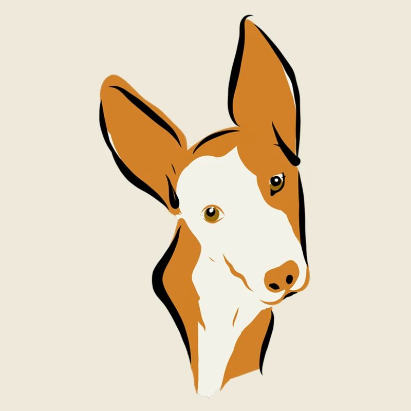 Podi