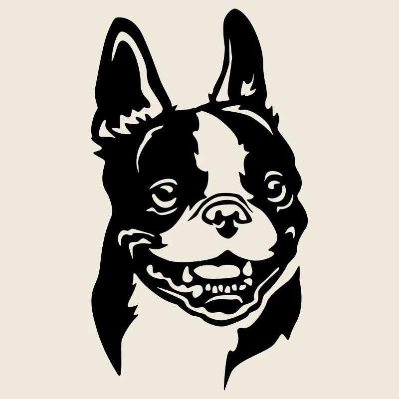 Boston Terrier Kopf
