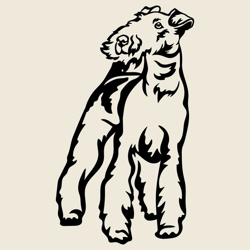 Fox-terrier