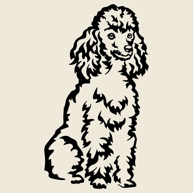 Caniche