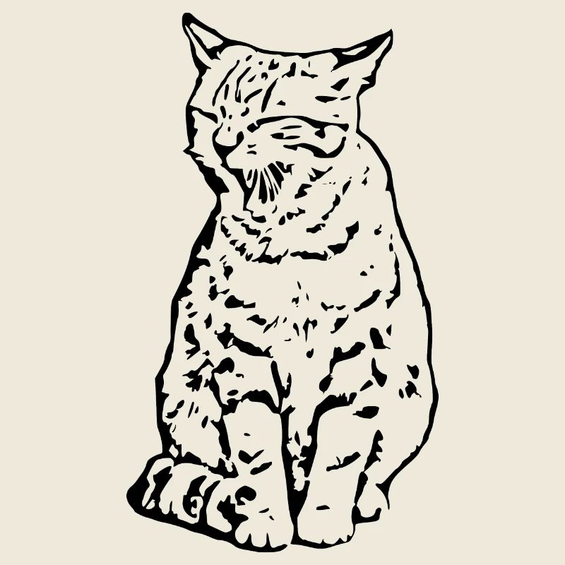 chat noir chat chaton doux cadeau de Noël