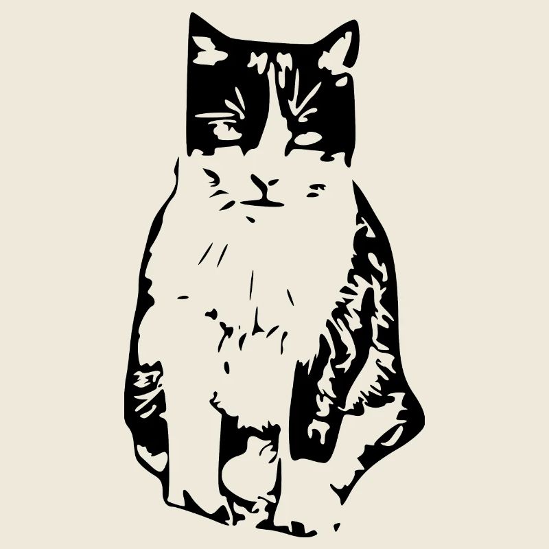 Chat noir