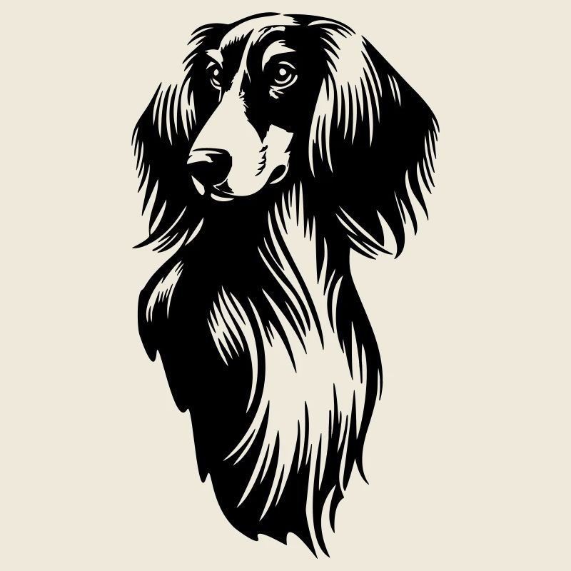 Saluki Kopf