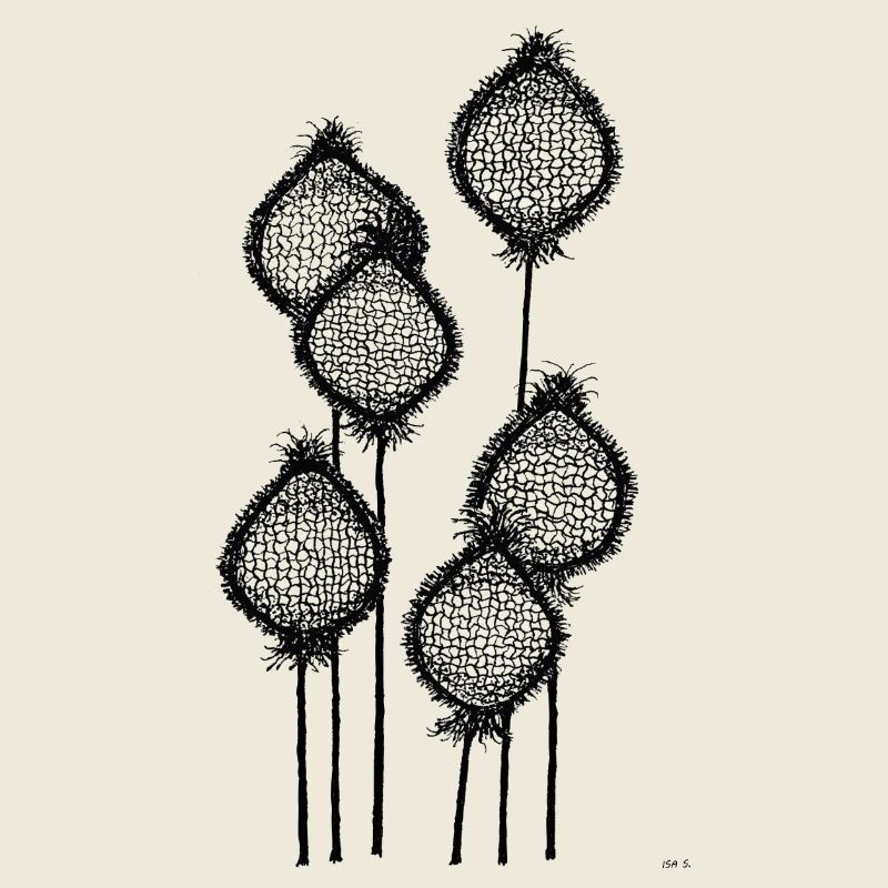 Mohnknospen oder Ananas am Stiel? Schwarz abstrakt