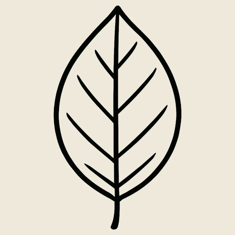 Conception minimaliste Leaf