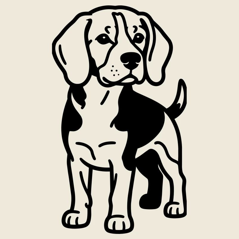 Le chien beagle