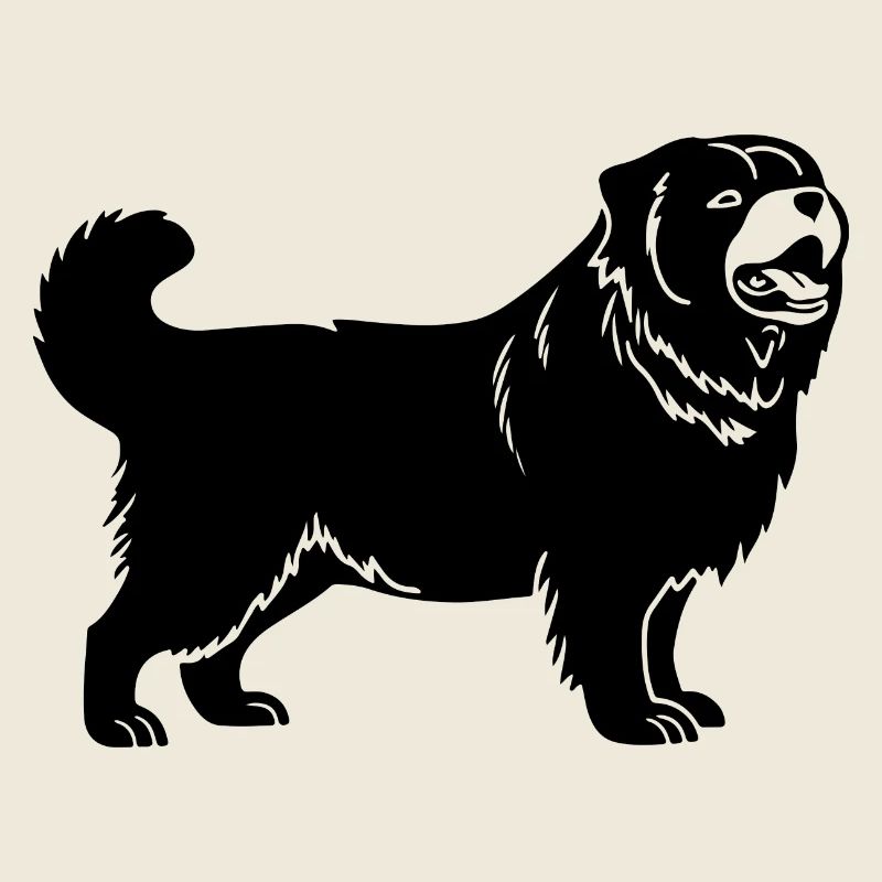 Chow Chow Hund