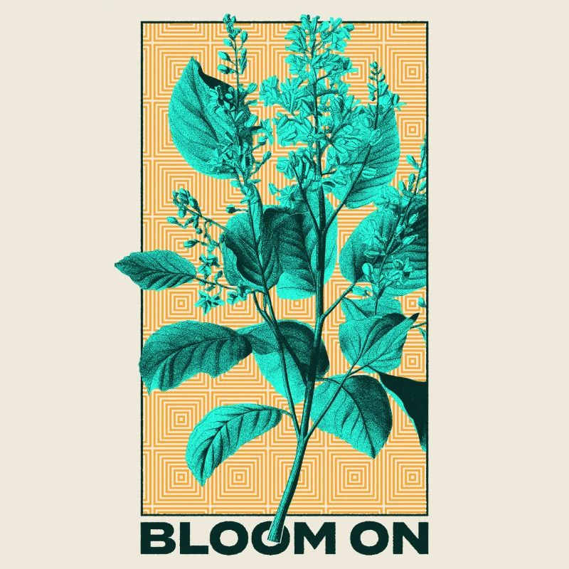 Conception de la flore et de la faune