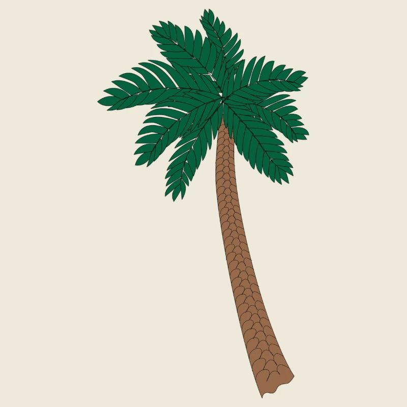 Illustration Palm