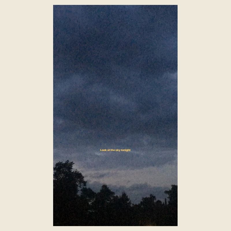 90E95C38 10D6 4B56 B98E 11BDECDDF03E