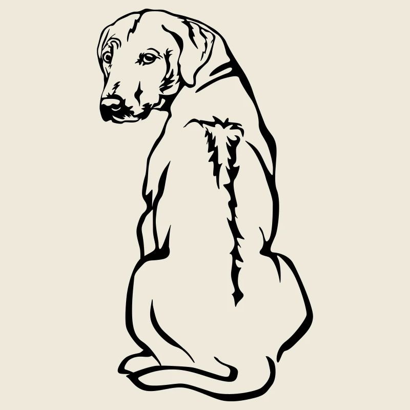 Rhodesian Ridgeback