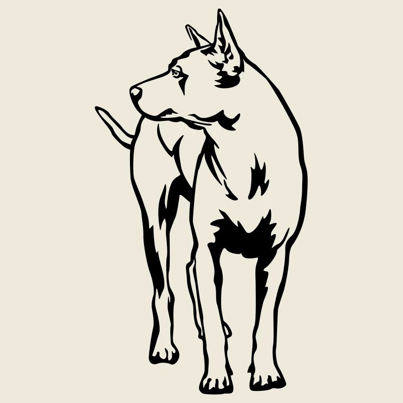 Thaï Ridgeback