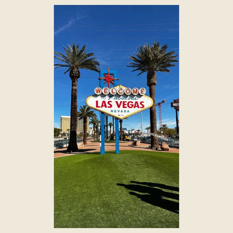 0D8A0890 77EC 4DA6 BCE8 505C66E6281D