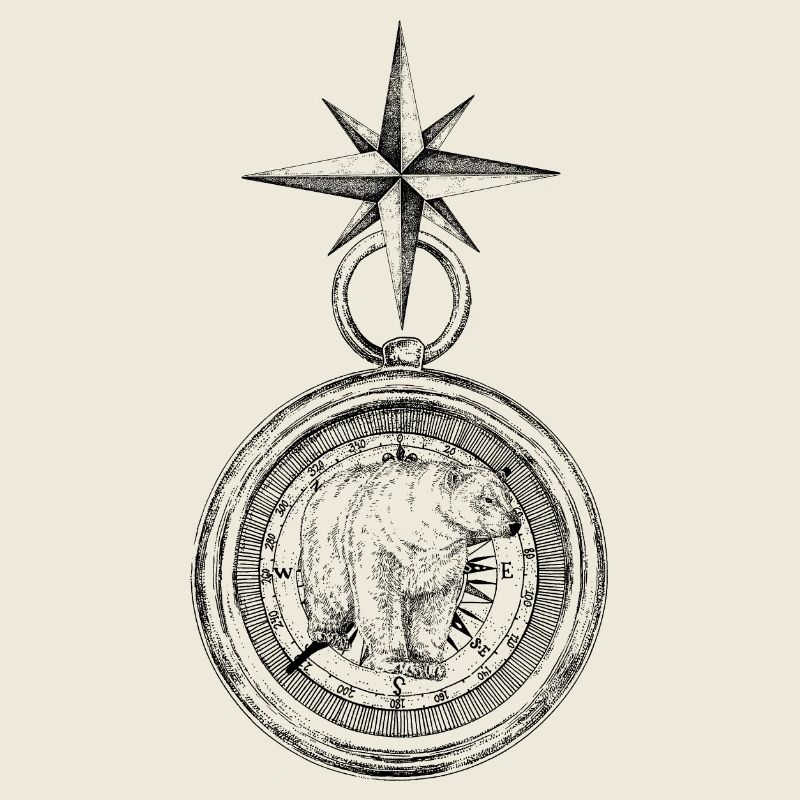 ARCTIC COMPASS