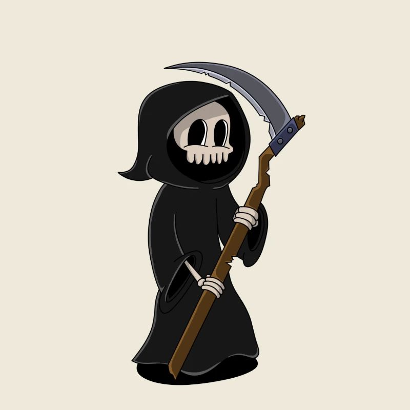 Skull
