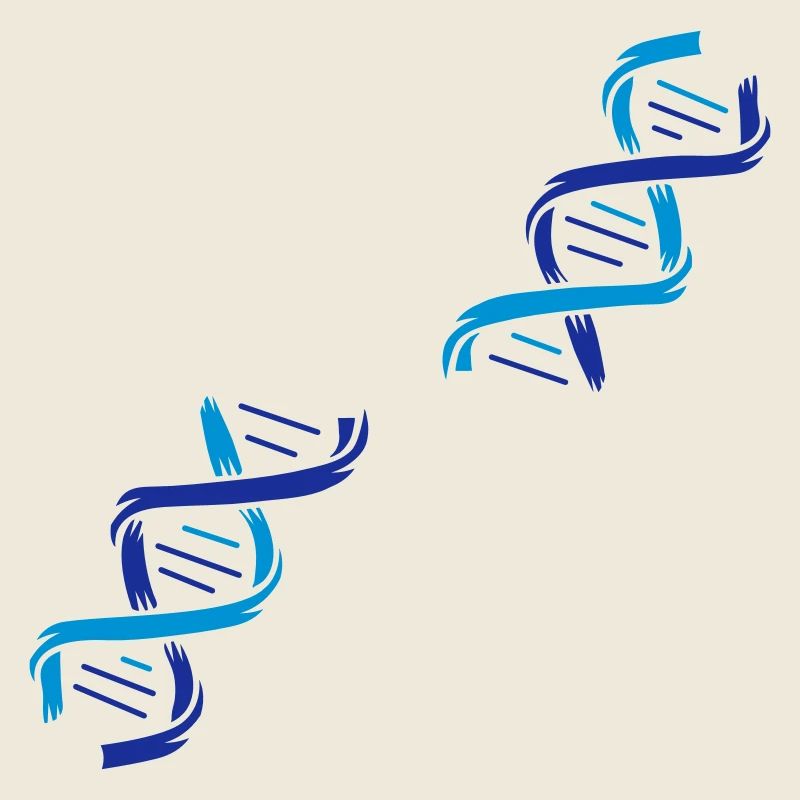 La structure d'une molécule d'ADN