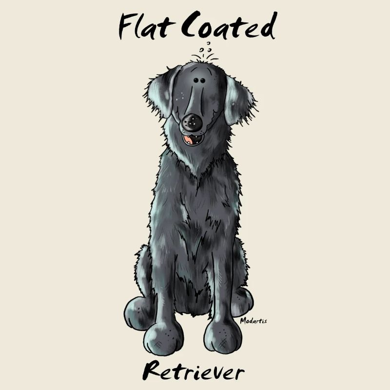 Witziger Flat Coated Retriever - Hund