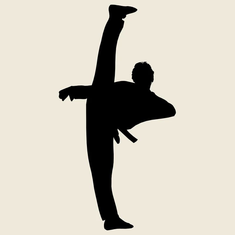 High Kick von Taekwondo oder Karate Schattenfigur