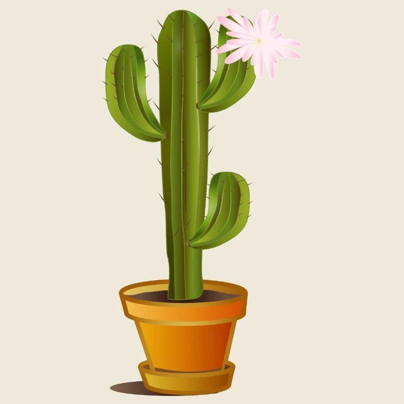 Cactus enchanteur dans un pot de fleurs avec fleur