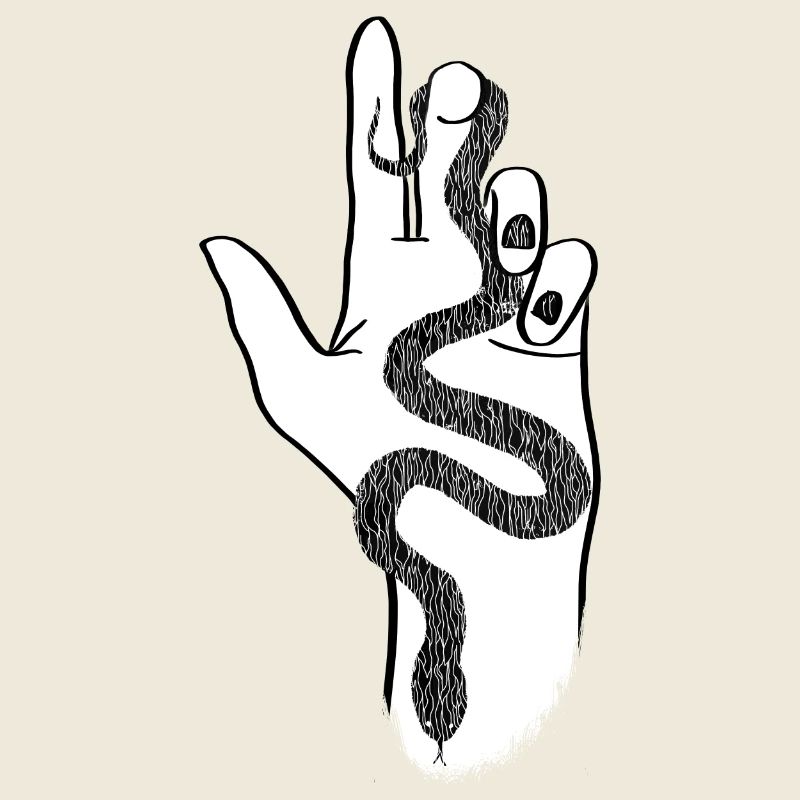 Eine gemusterte Schlange in der Hand