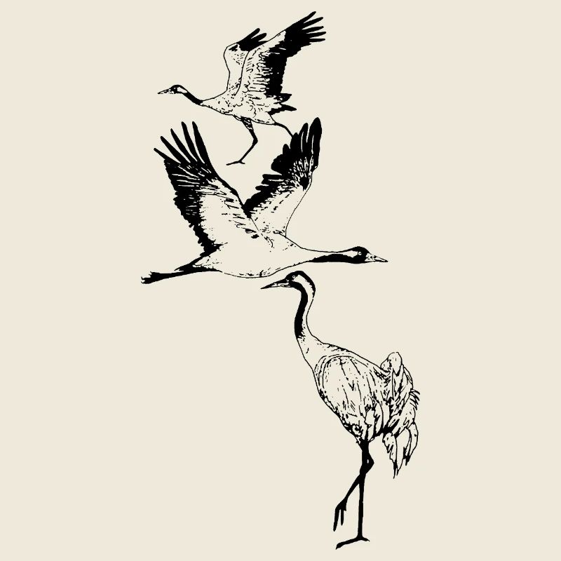 KRÄNE