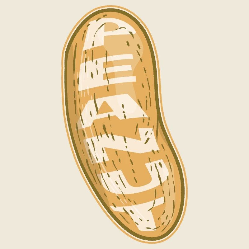 Peanut