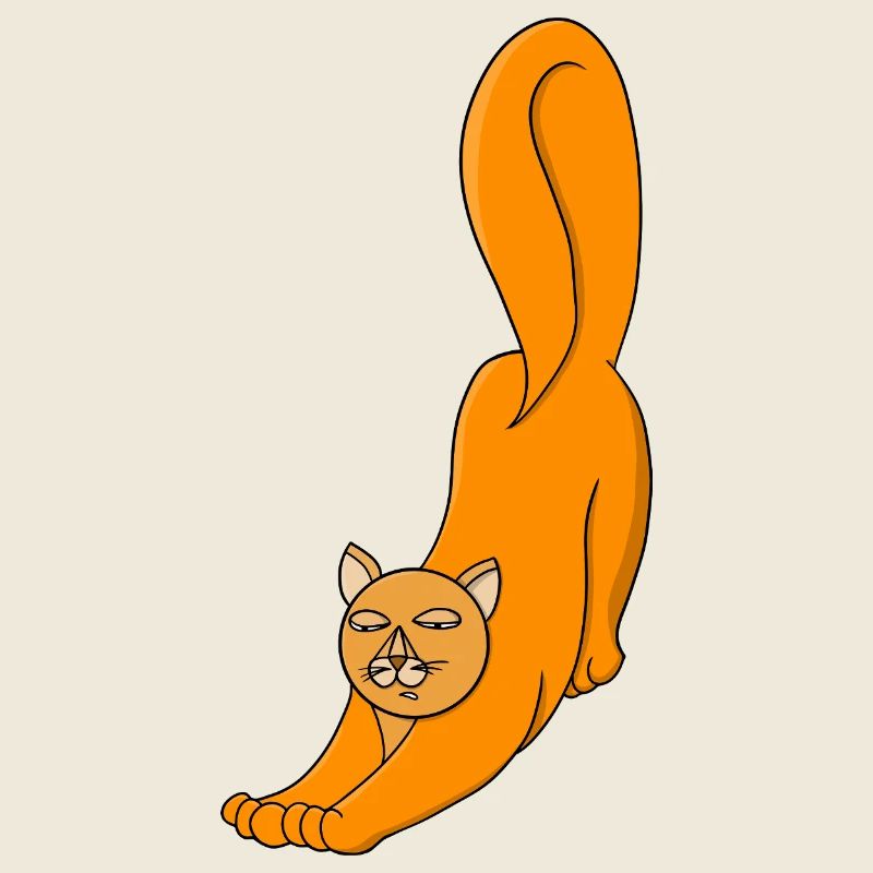 Chat Orange Étirant