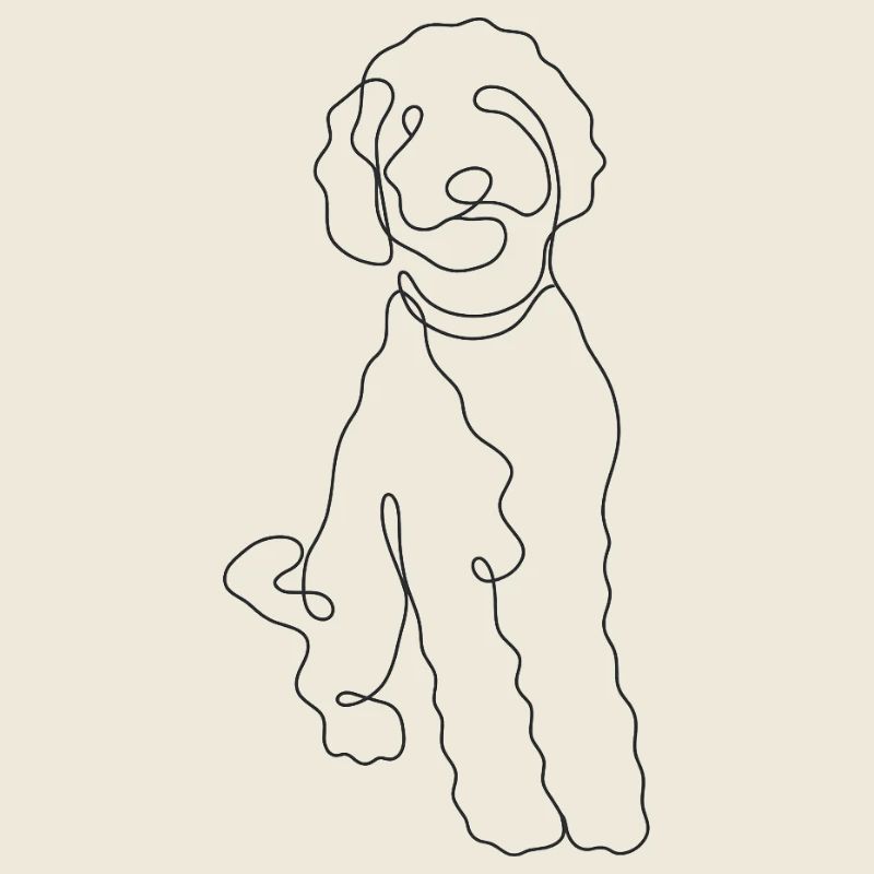 Leash dog Minimalist labradoodle