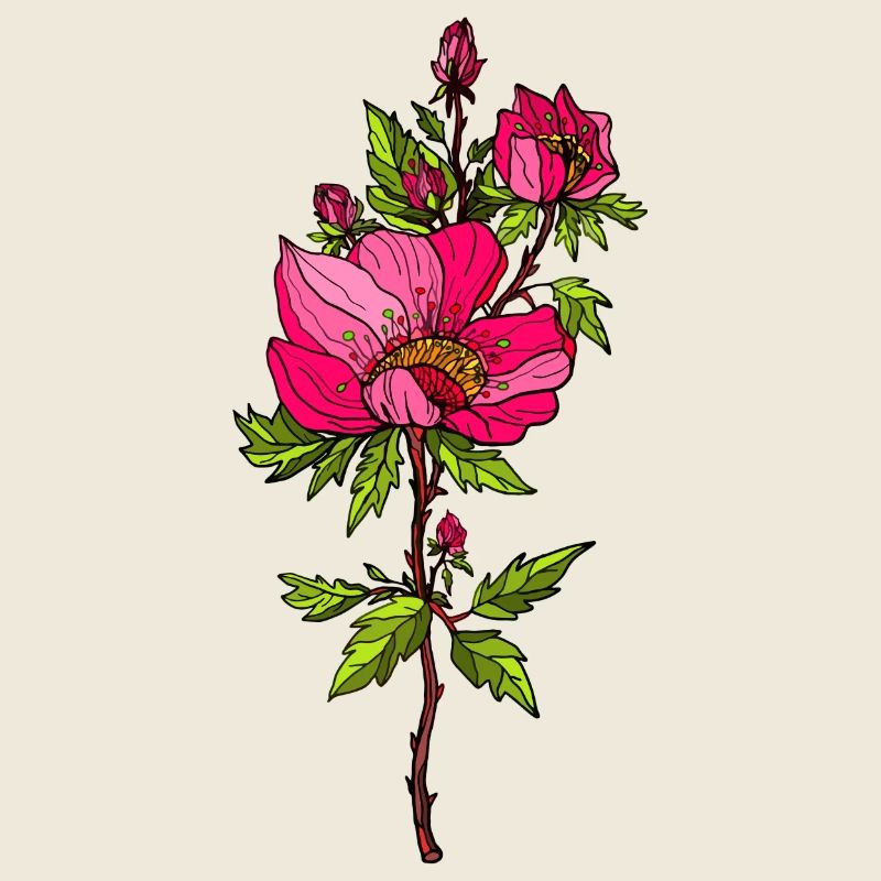 Roses rouges