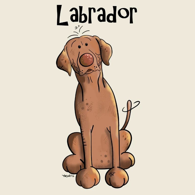 Lustiger Labrador