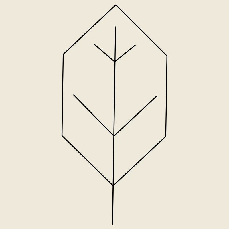 leaf contour
