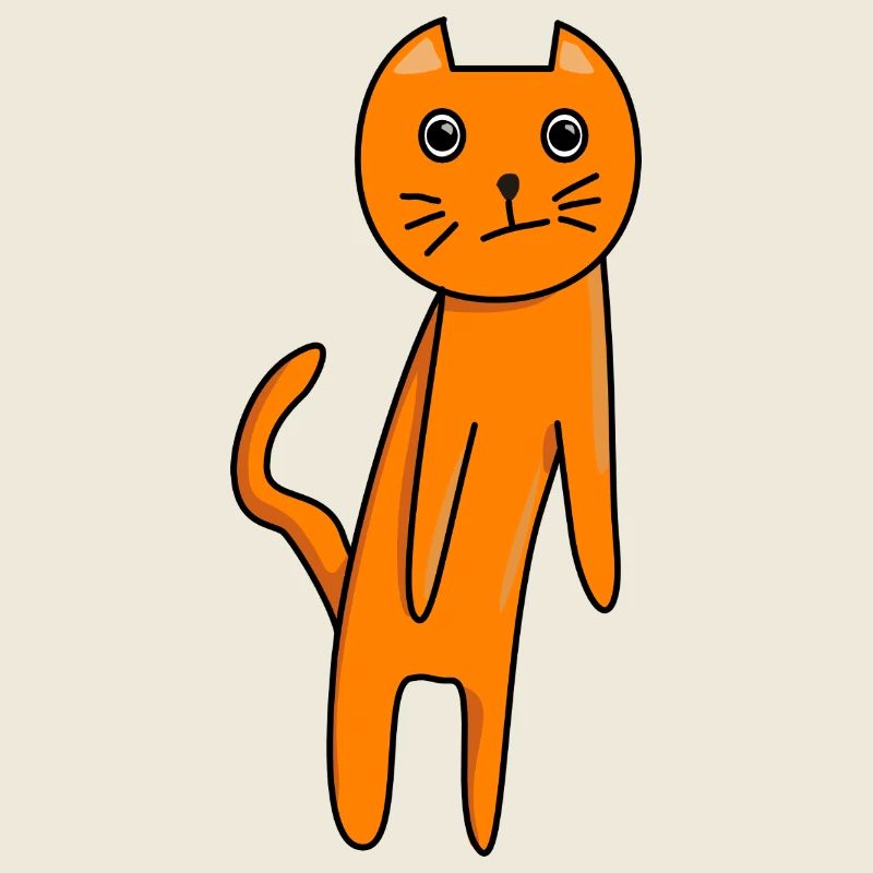 Confused Cat