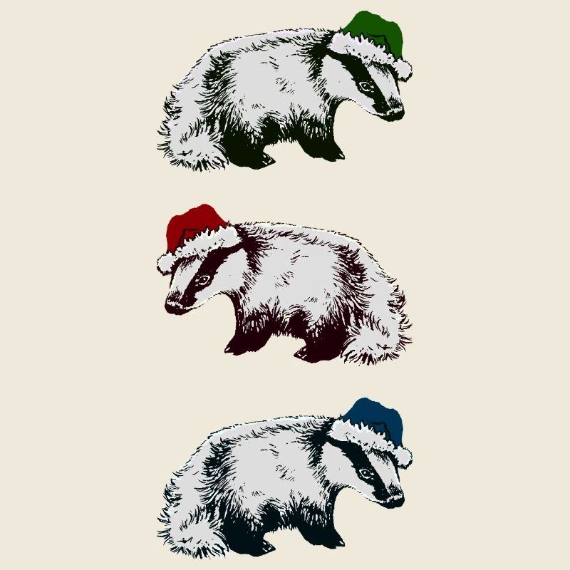 BLAIREAUX DE NOËL