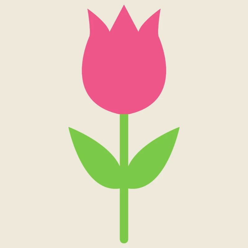 Tulpe