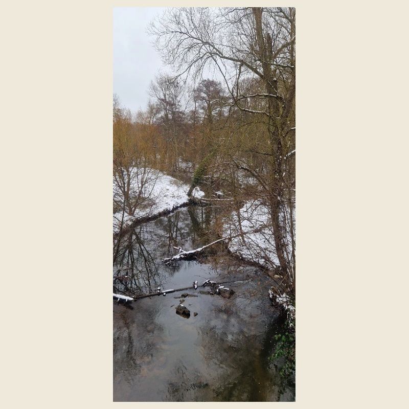 Rivière d’hiver dans le brouillard