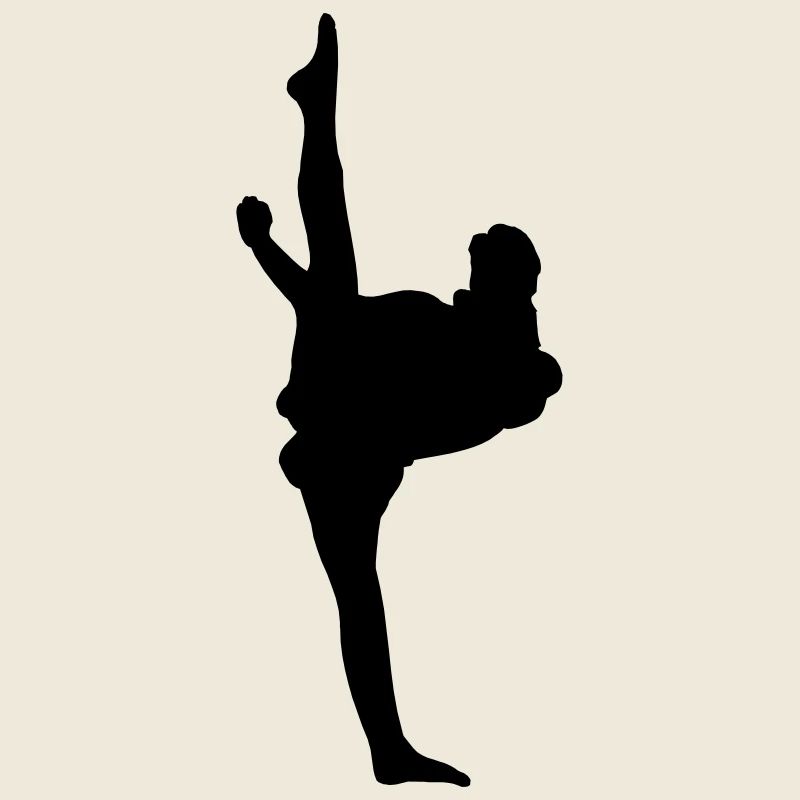 Karate oder Taekwondo High Kick