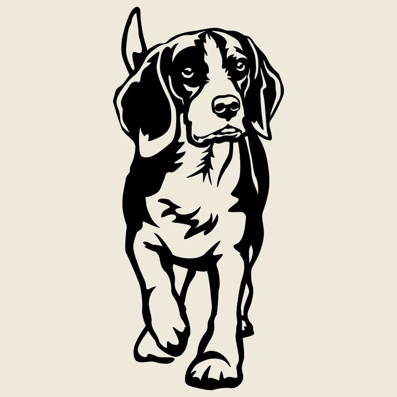 Beagle