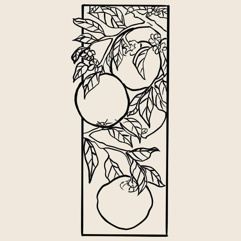 Oranges