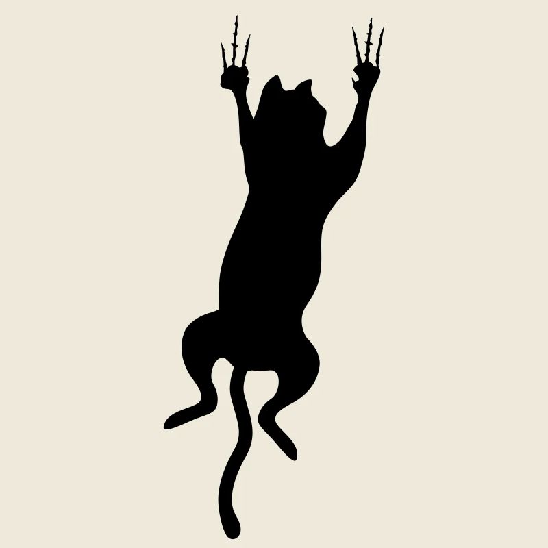 chat cat