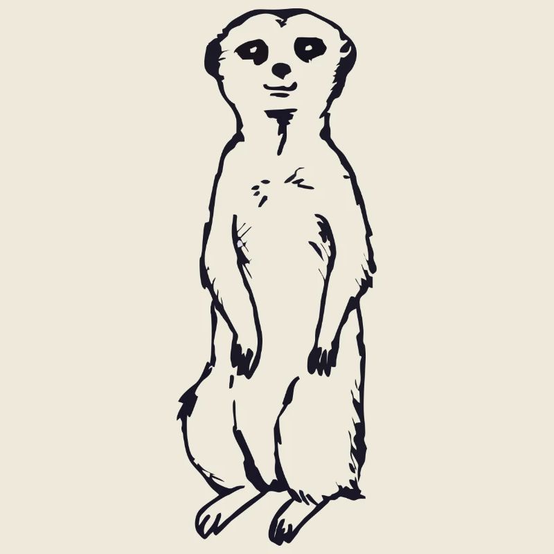 Idée cadeau bébé suricate