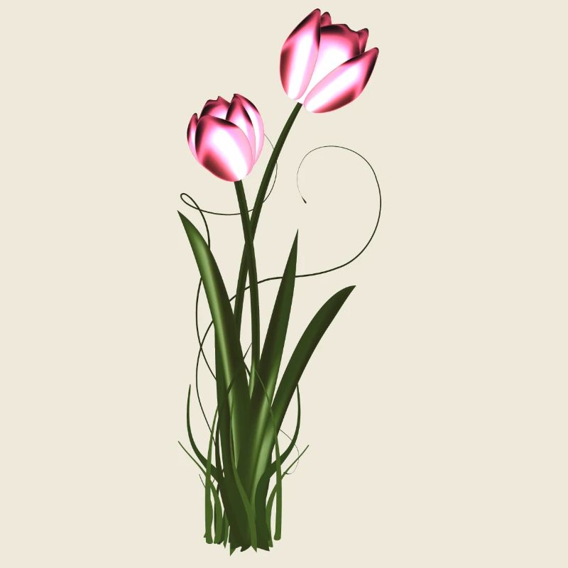 two metallic shimmering tulips in spring